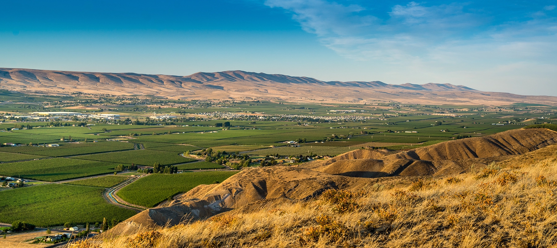 Panoramic view of green agricultural fields and scattered houses with dry hills in the foreground and brown mountains under a blue sky. Yakima Washington.
