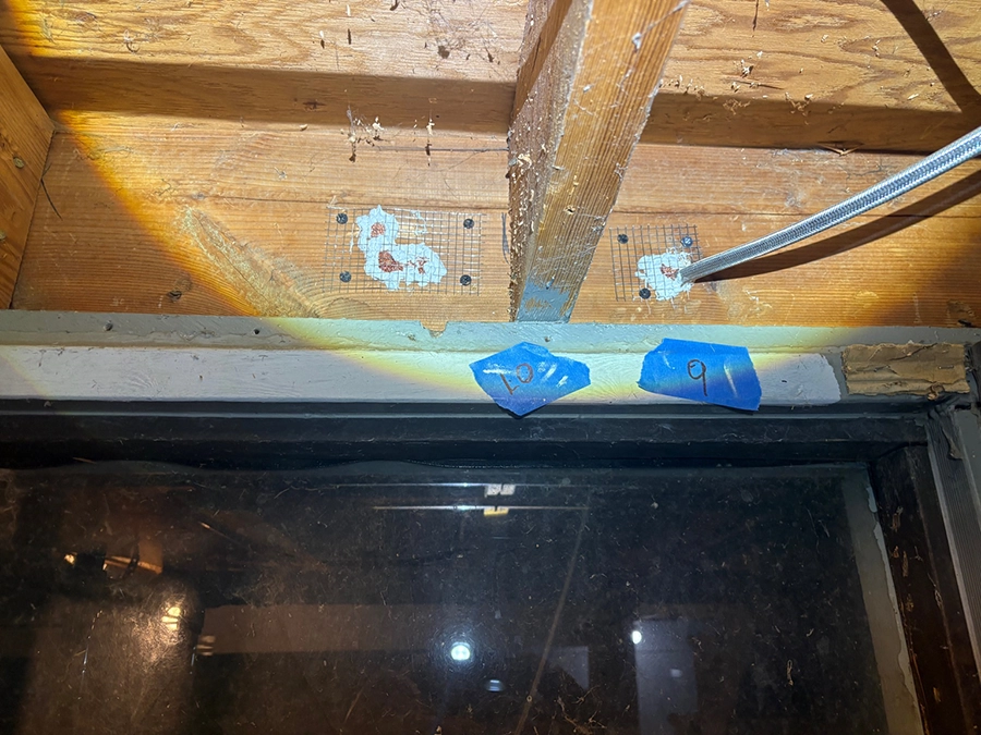 Crawl space access sealed using stainless steel wire mesh, copper mesh, and caulking to block rodent entry.
