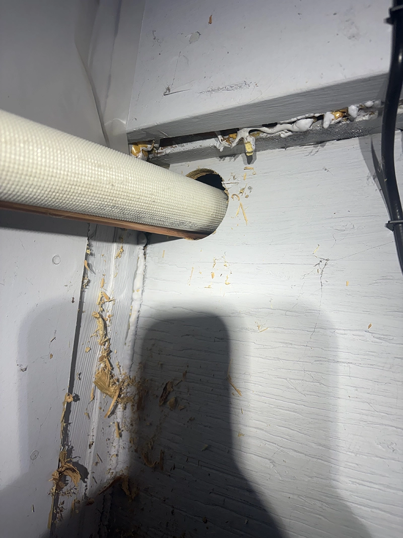 Basement wall with multiple unsealed openings prior to rodent exclusion work.