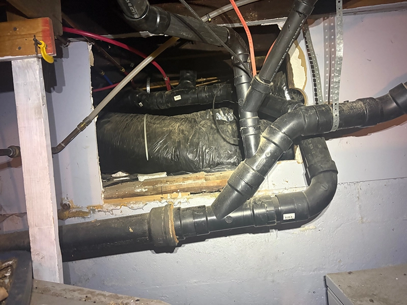 Large unfinished basement wall opening before remediation, allowing rodents to move freely between crawl space and basement.