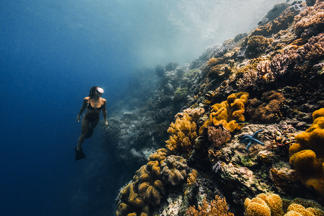 Dive/snorkel in lava-formed coral gardens