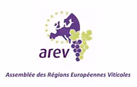 logo arev