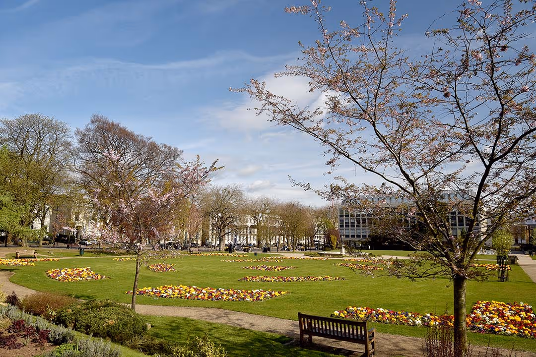 Green park with colorful flower beds, blossoming trees, benches, and buildings in the background under a clear blue sky.