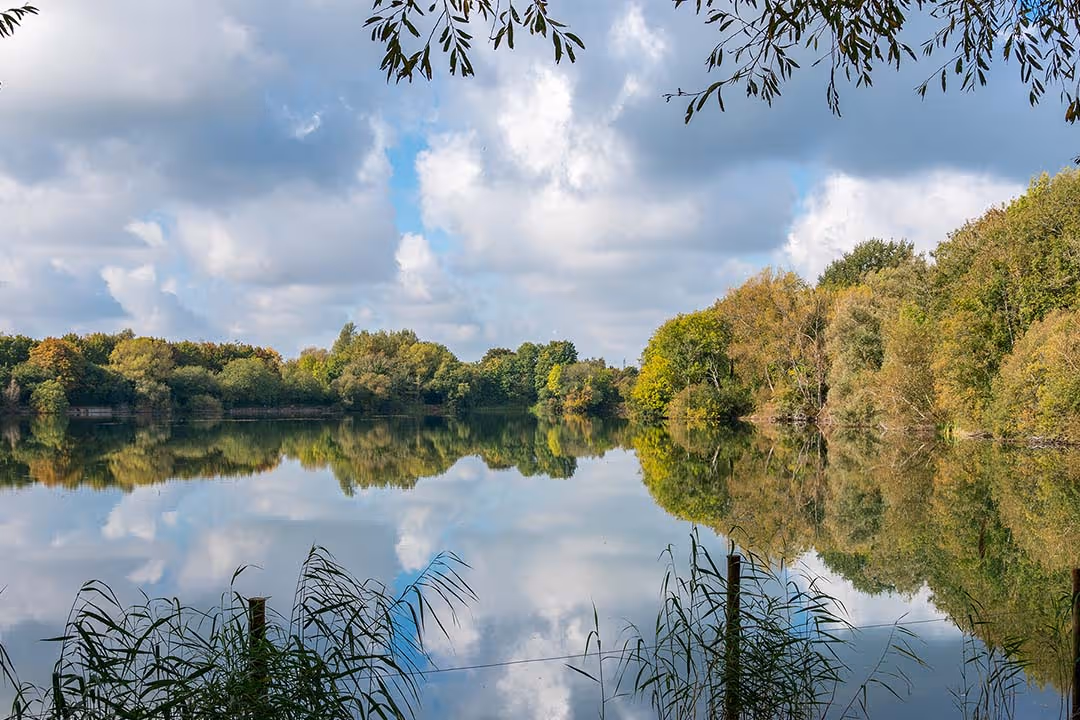 Calm lake reflecting a cloudy blue sky and surrounding green trees with some branches framing the top.
