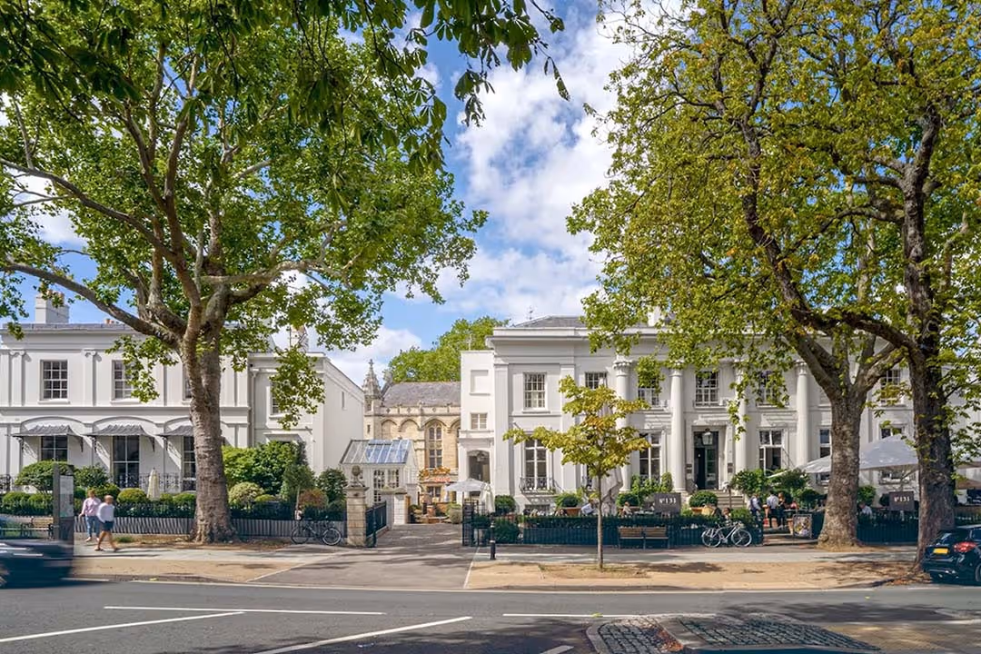 Street view of white historic buildings with large trees, parked bicycles, and people walking on a sunny day.