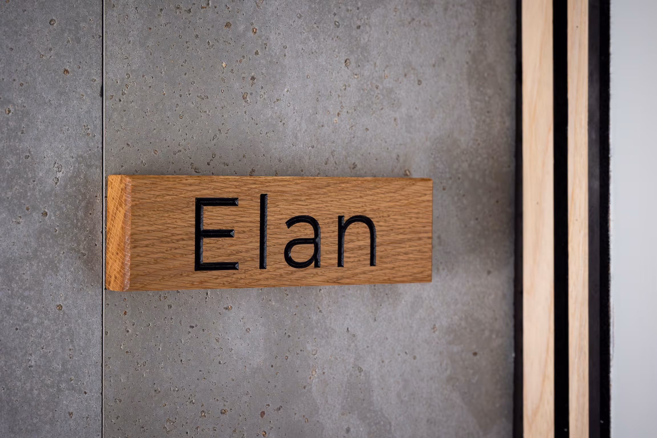 Wooden plaque with the word 'Elan' engraved in black mounted on a textured gray concrete wall.