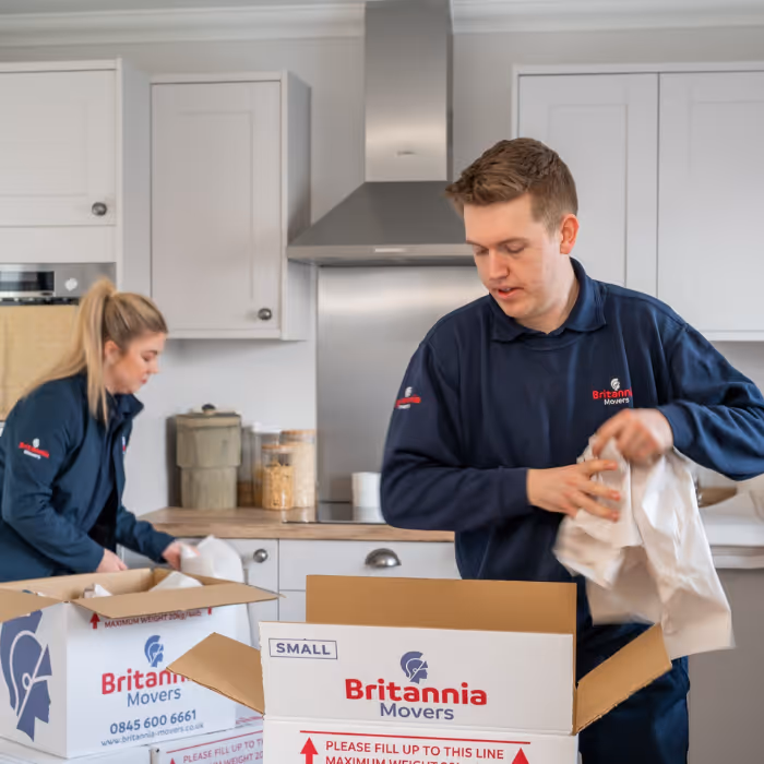 Devereux Transport success story