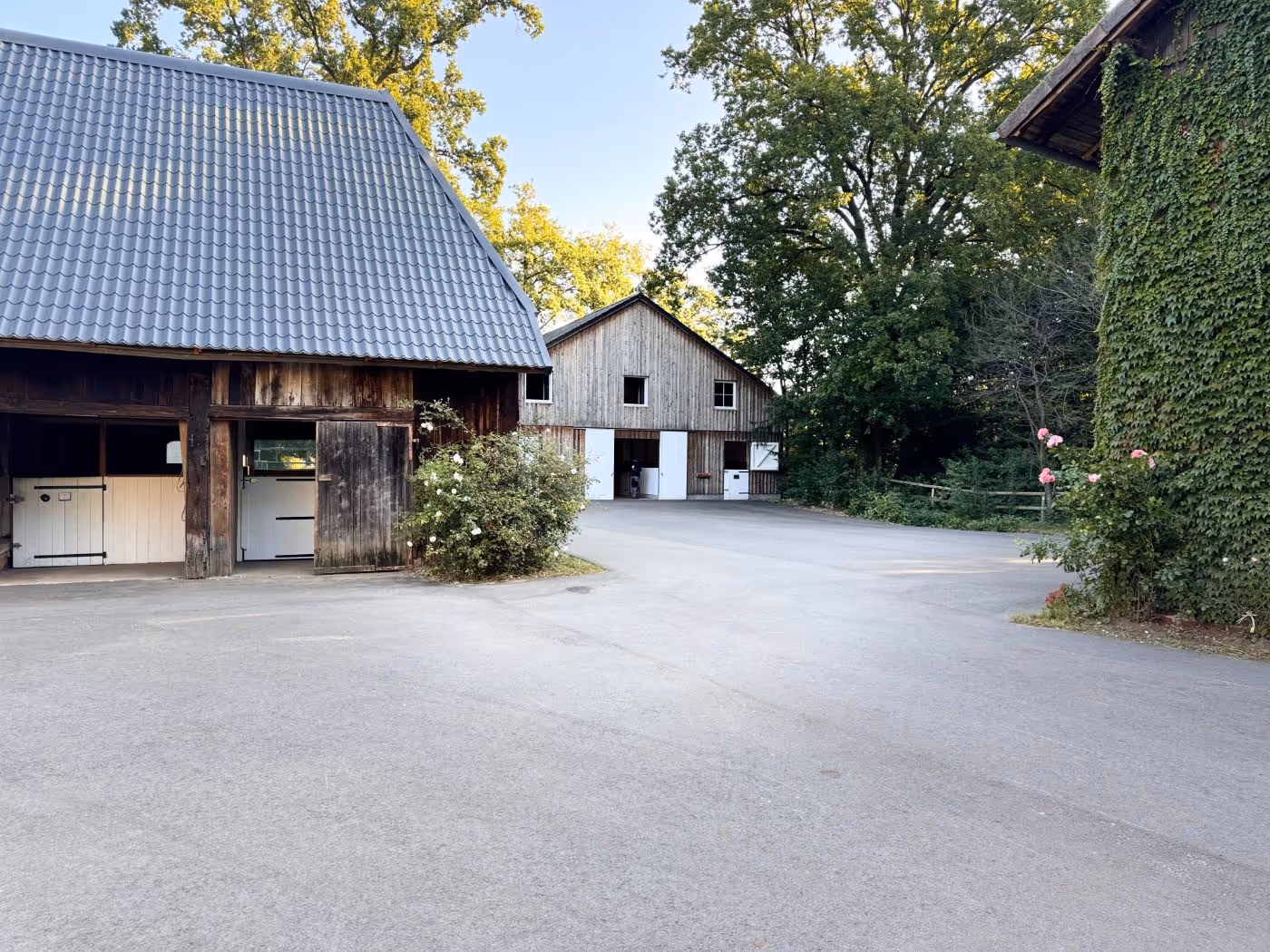 Hof mit zwei hölzernen Bauernhausgebäuden, umgeben von Bäumen und blühenden Sträuchern.