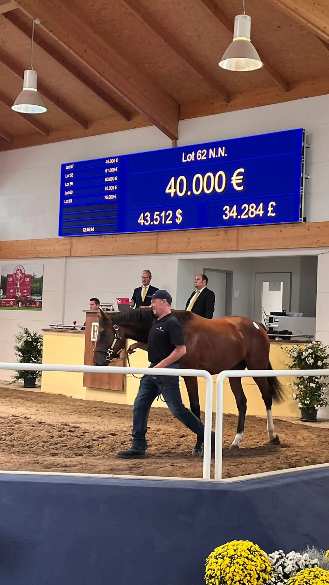 Mann führt braunes Pferd in einer Auktionshalle mit digitaler Anzeigetafel im Hintergrund.