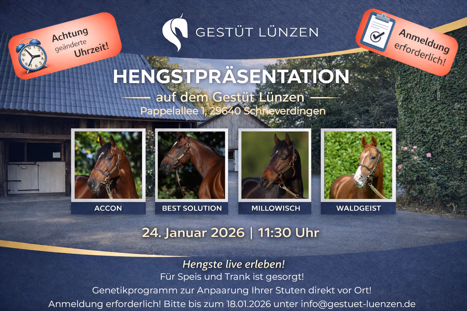 Bild zur Hengstpräsentation 2026. Diese findet am 24. Januar um 11.30 statt. Anmeldung unter info@gestuet-luenzen.de