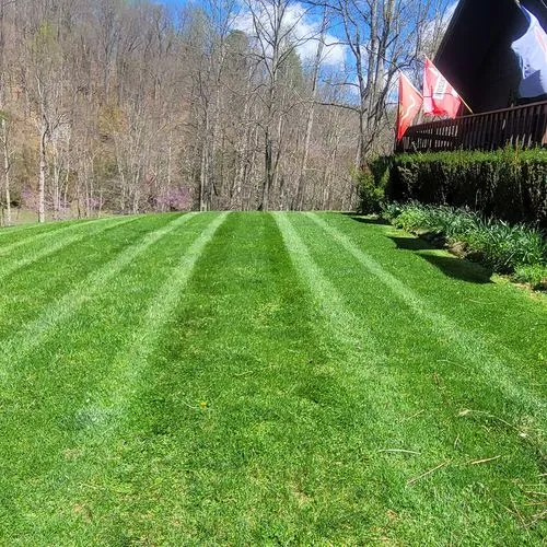 Professional lawn maintenance service Christiansburg VA