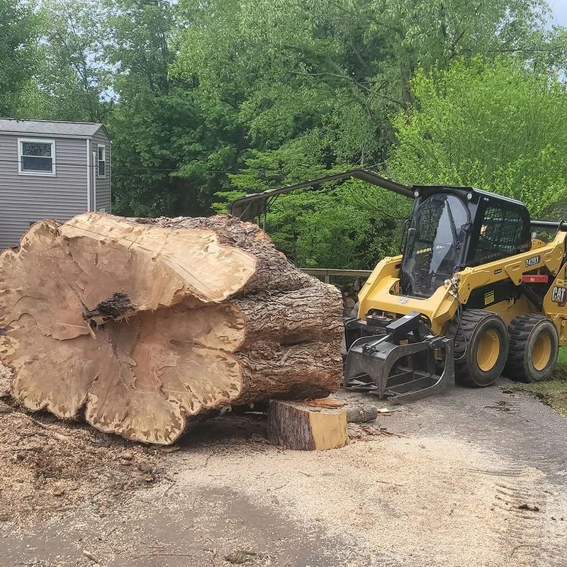 Prime Tree and Landscape excavator preparing site near me