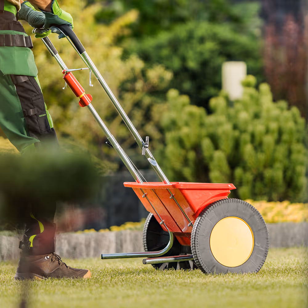 Lawn overseeding and seed laying service Christiansburg VA