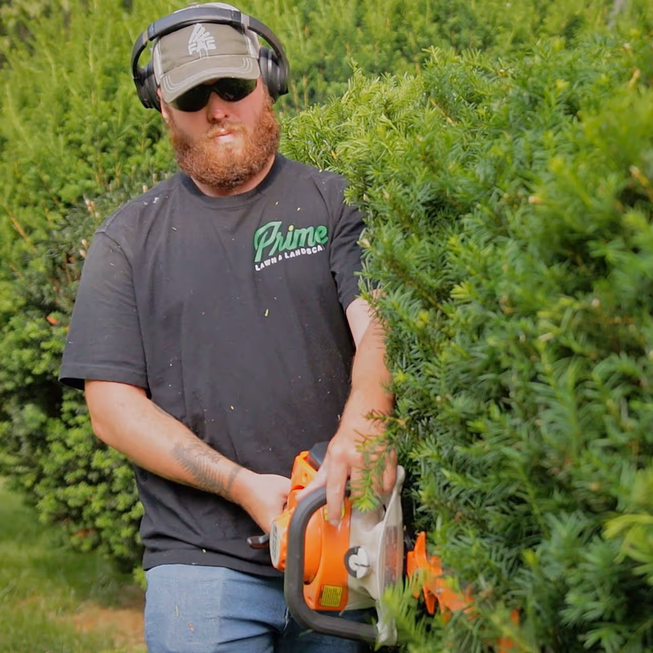 Prime Tree and Landscape team operating equipment