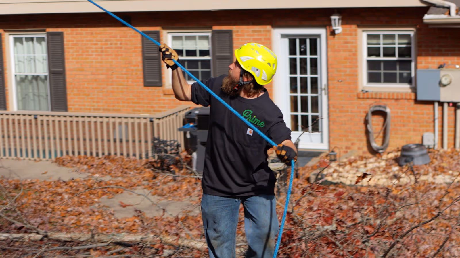 Hazardous tree removal experts near me