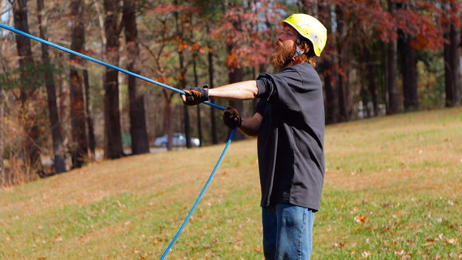 Tree cutting crew using safety gear Christiansburg VA