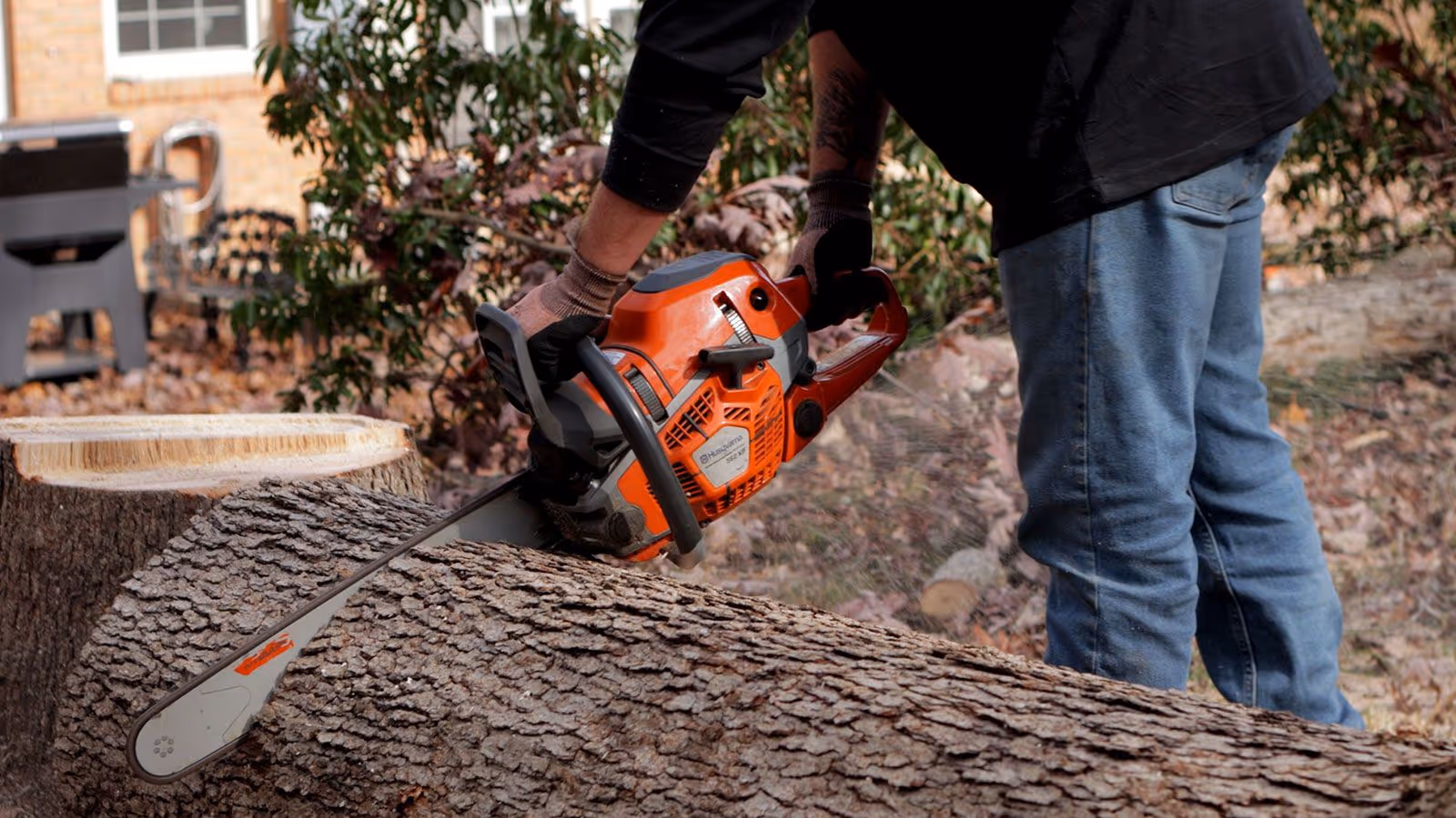 Certified arborist tree inspection Christiansburg VA