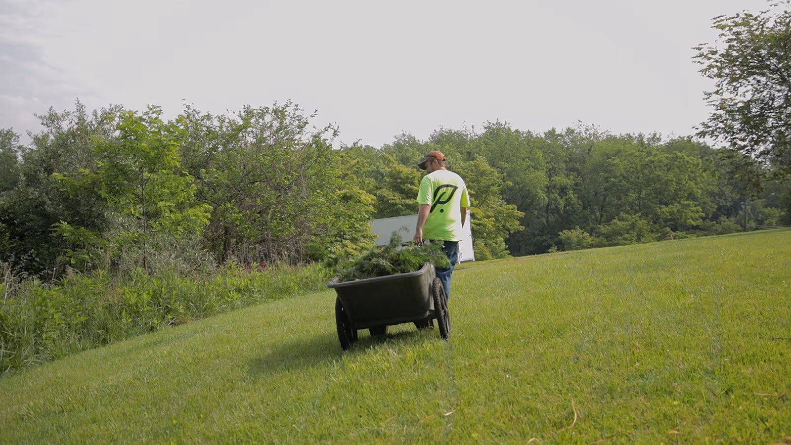 Fallen tree cleanup by Prime Tree and Landscape
