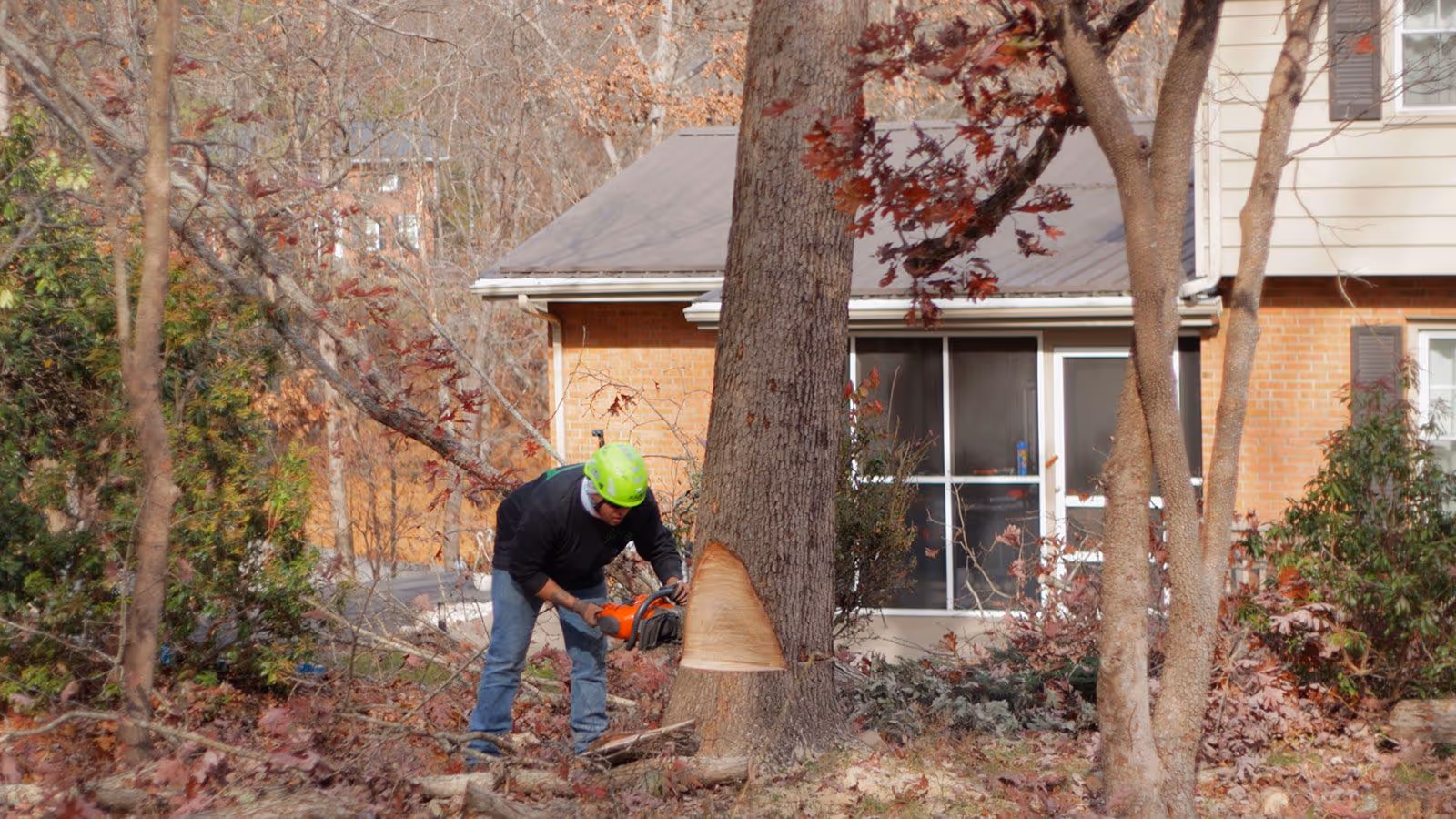 Tree removal crew at work Blacksburg VA