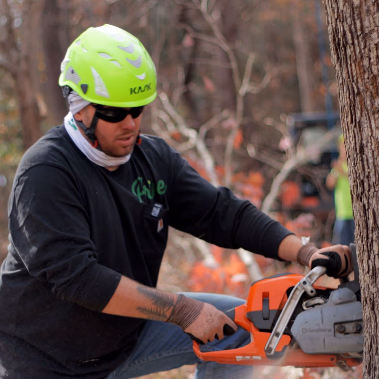 Tree removal crew at work Blacksburg VA