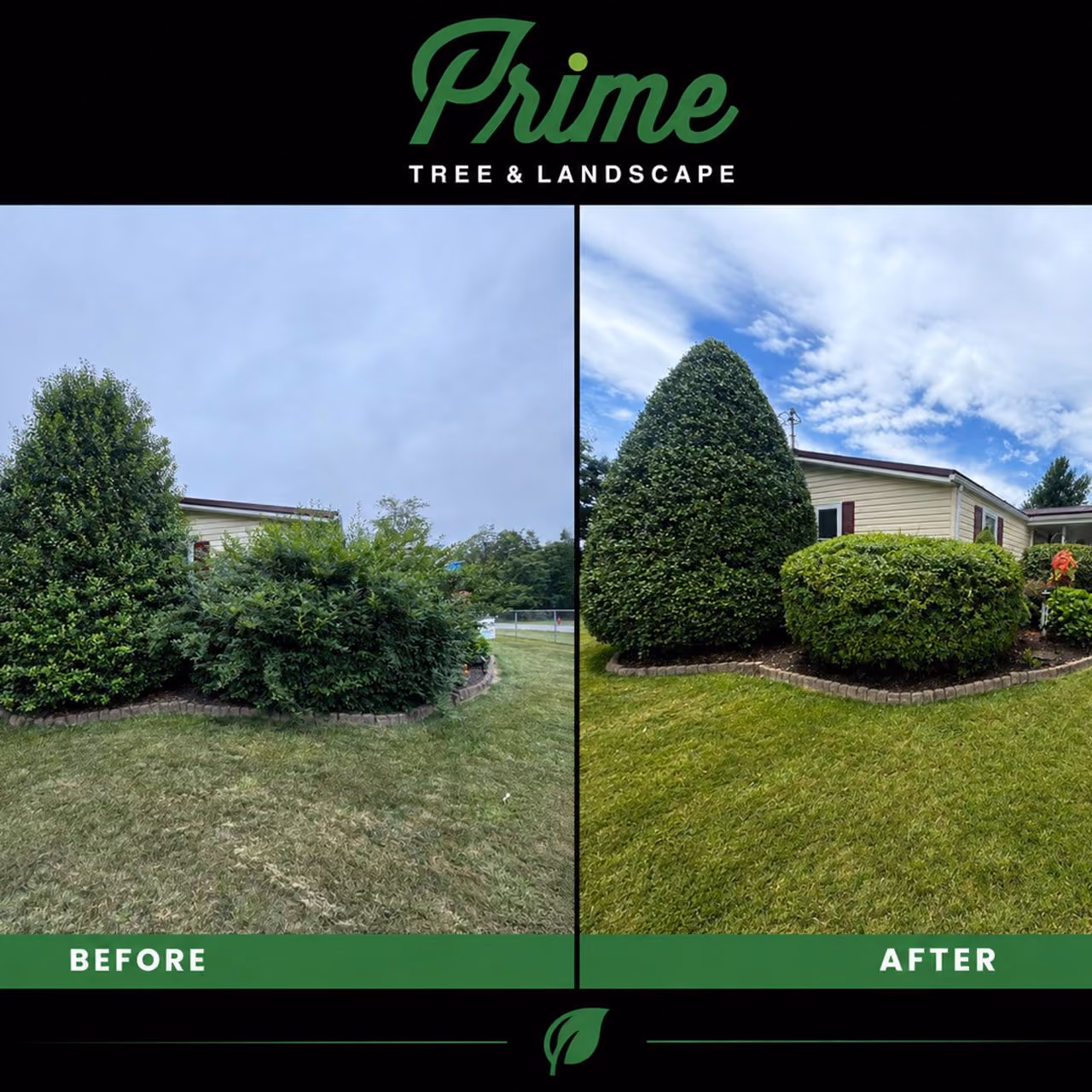 Before and After image of Shrub and Bush Trimming near me in Christiansburg, VA