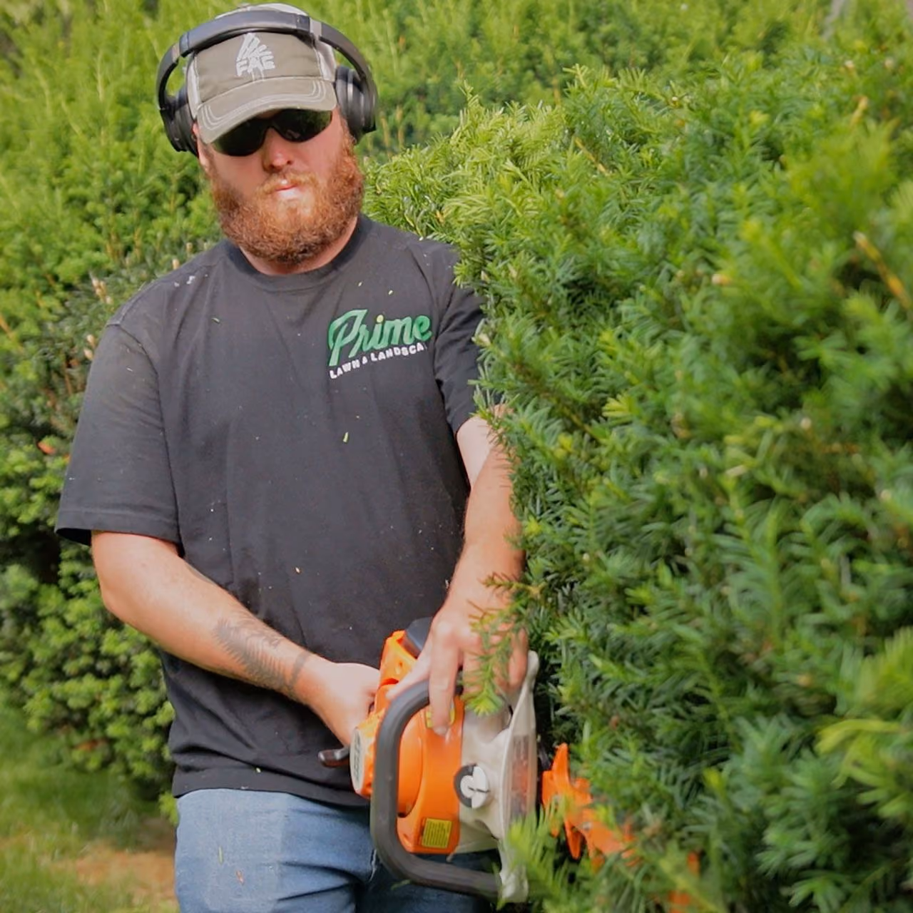 Shrub Trimming and Removal near me in Blacksburg, VA