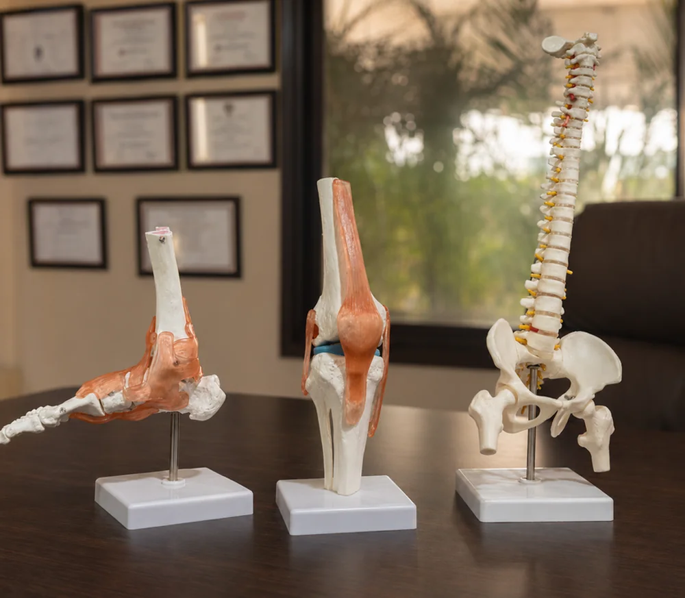 Anatomical models of the foot, knee and spine on a desk in the treatment room at VinayakM