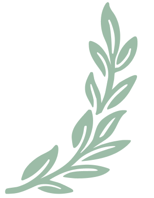 Green leafy botanical twig illustration with elongated leaves.