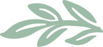 Simple green olive branch with six leaves.