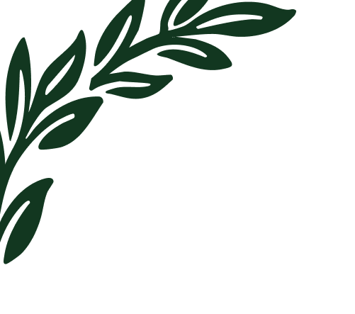 Illustration of a dark green leafy branch in the top left corner.