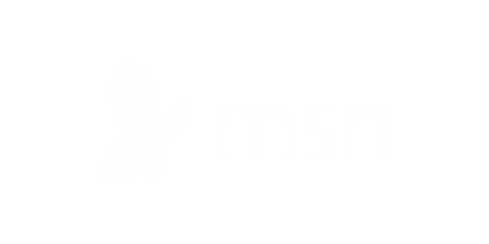 msn logo