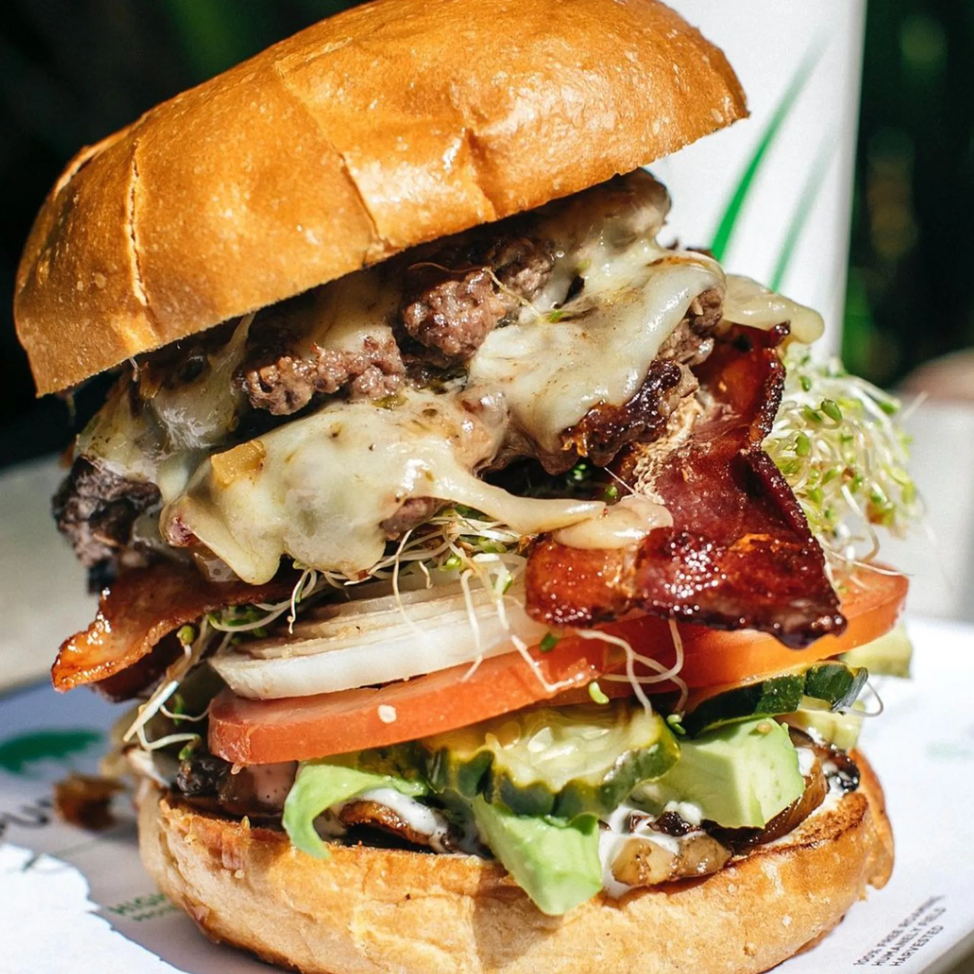 Juicy burger with melted cheese, crispy bacon, tomato, onion, sprouts, pickles, and avocado between a toasted bun.