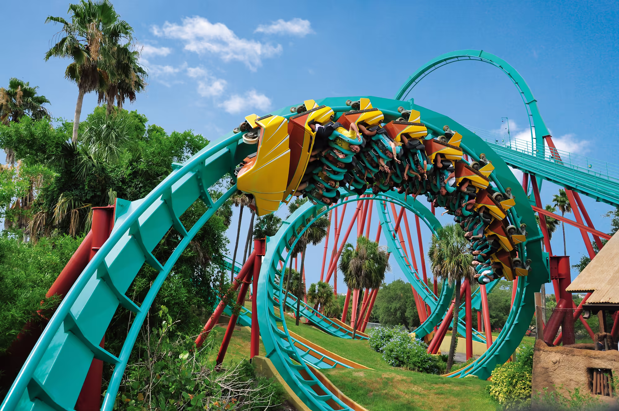 Picture of the coaster Kumba