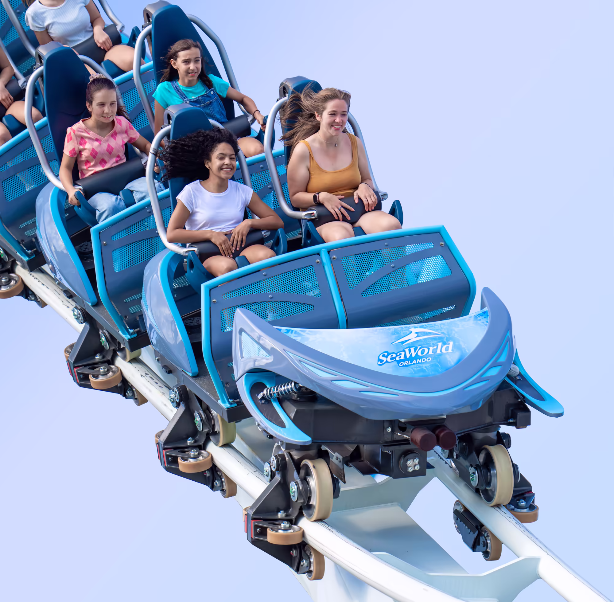 picture of the penguin trek