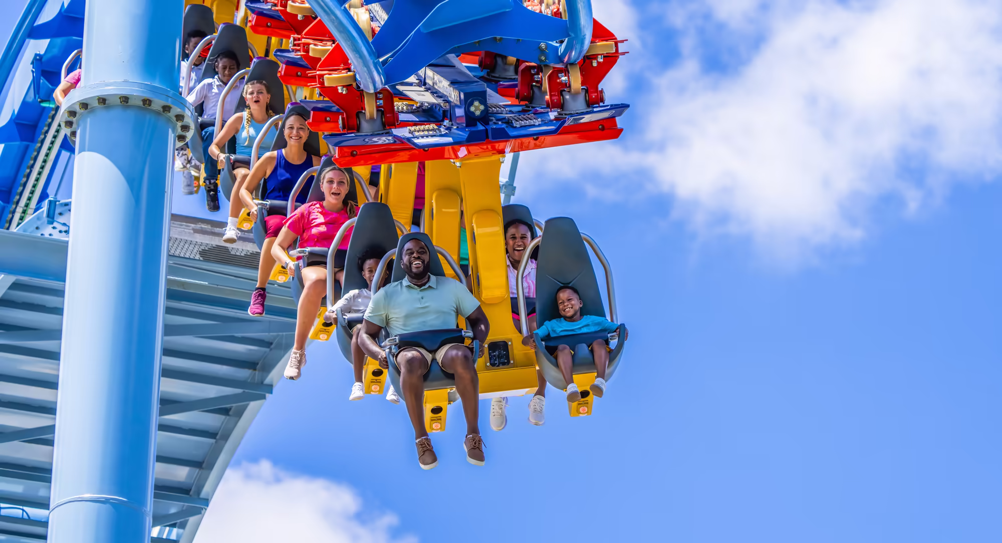 Picture of the Phoenix Rising