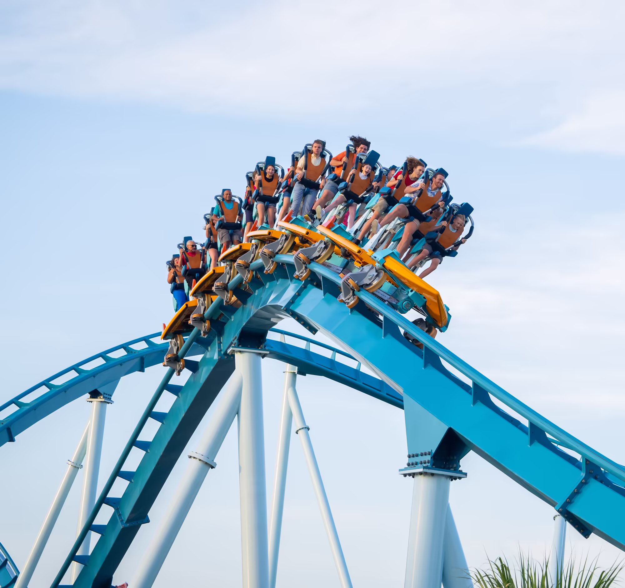 Picture of the Pipeline: The Surf Coaster