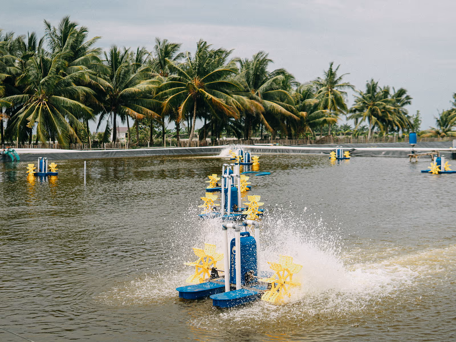 Aerator machines with yellow paddles operating in a large outdoor fish farming pond surrounded by palm trees.
