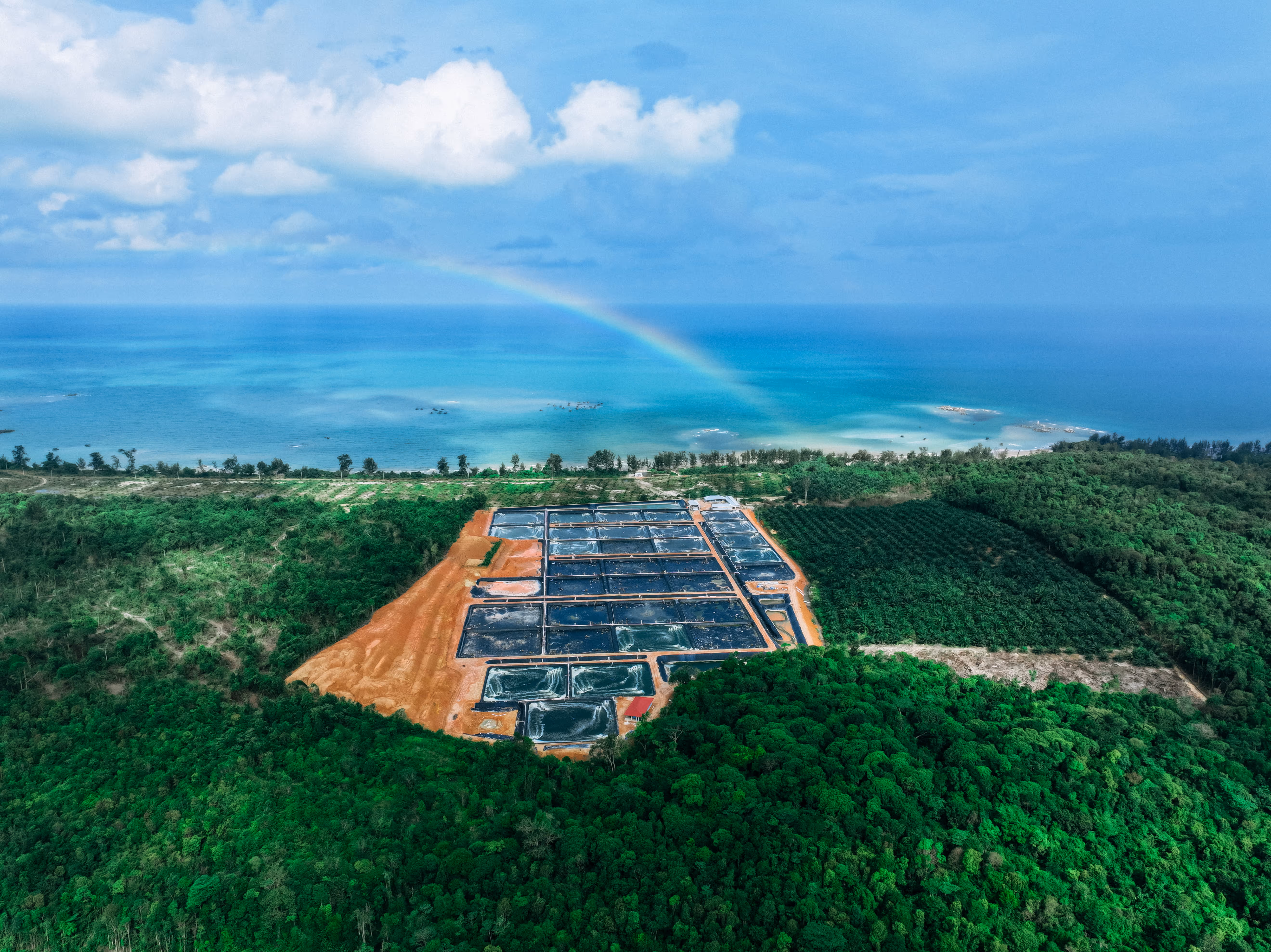 Aerial view of rectangular water ponds surrounded by dense green forest near a coastline with blue ocean and a faint rainbow in the sky.