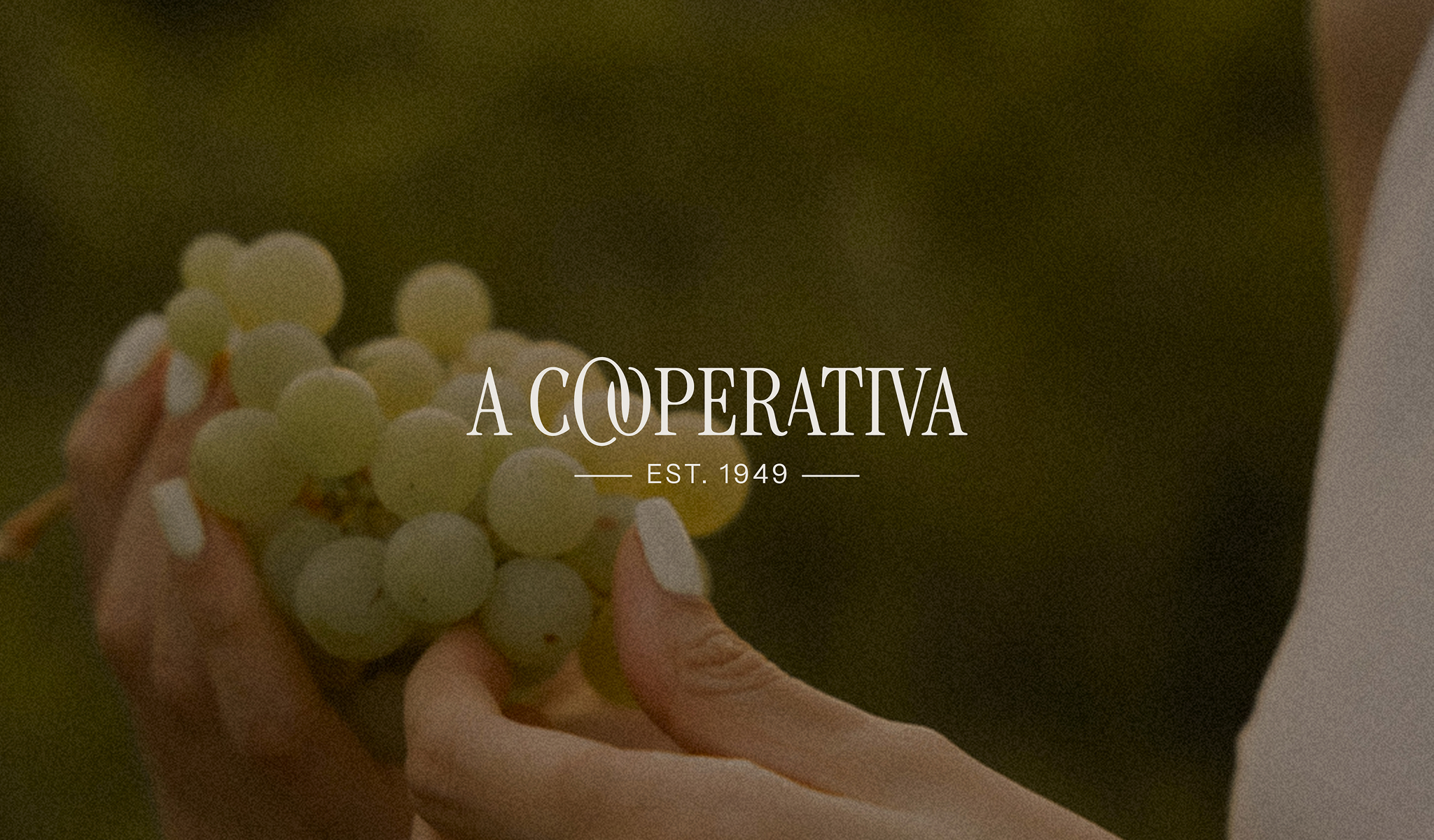 A Cooperativa