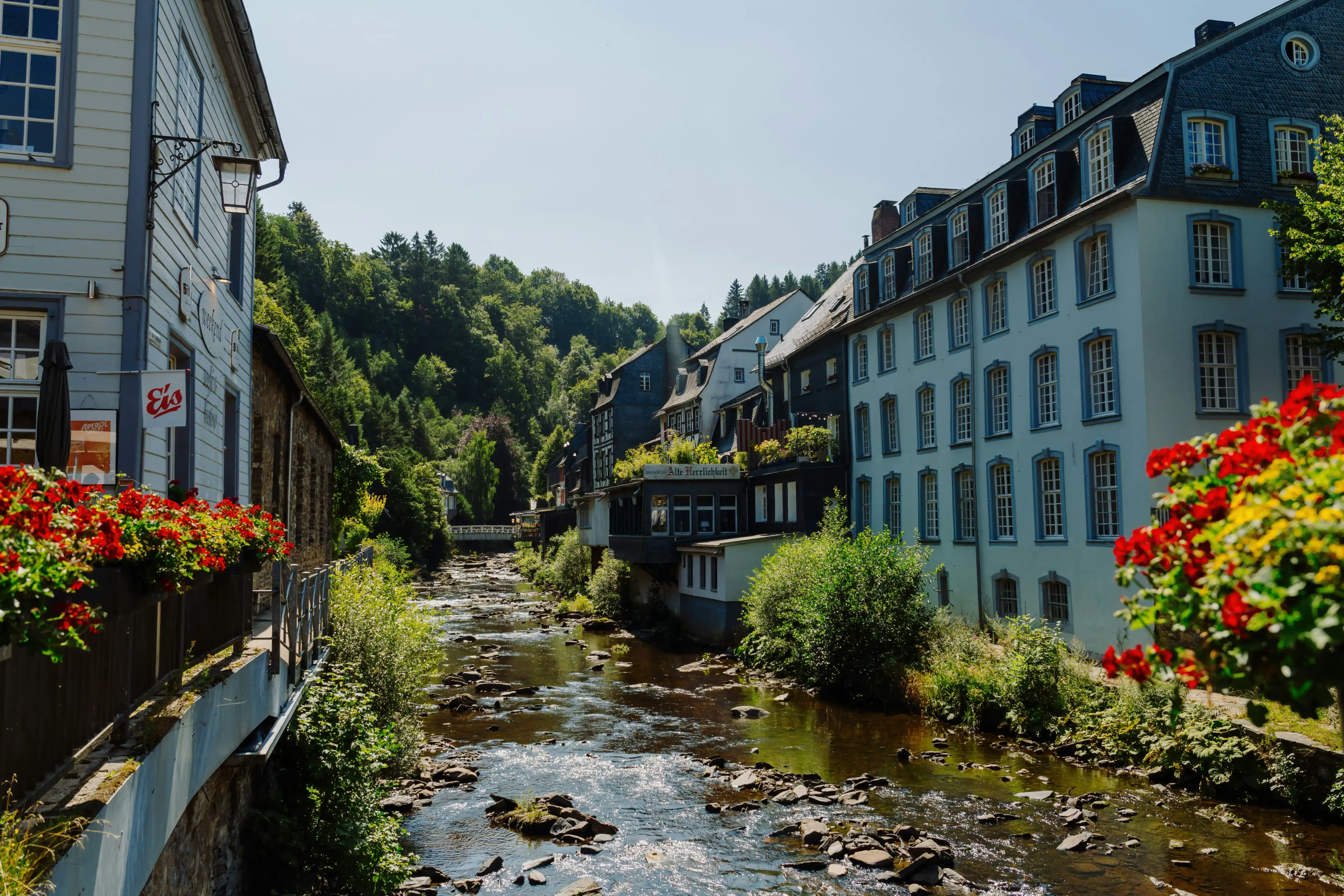 How to Start a Luxury Airbnb Business: Premium Property Guide