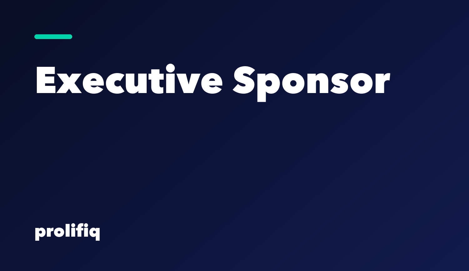 Executive sponsor role and program
