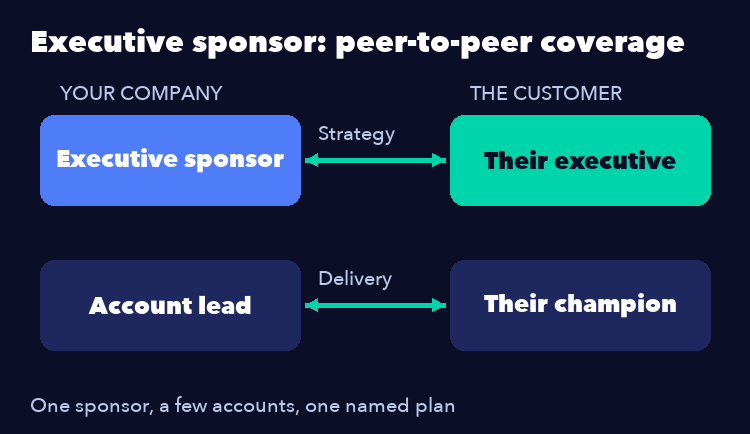 Executive sponsor coverage: your executive sponsor and account lead paired with the customer executive and champion
