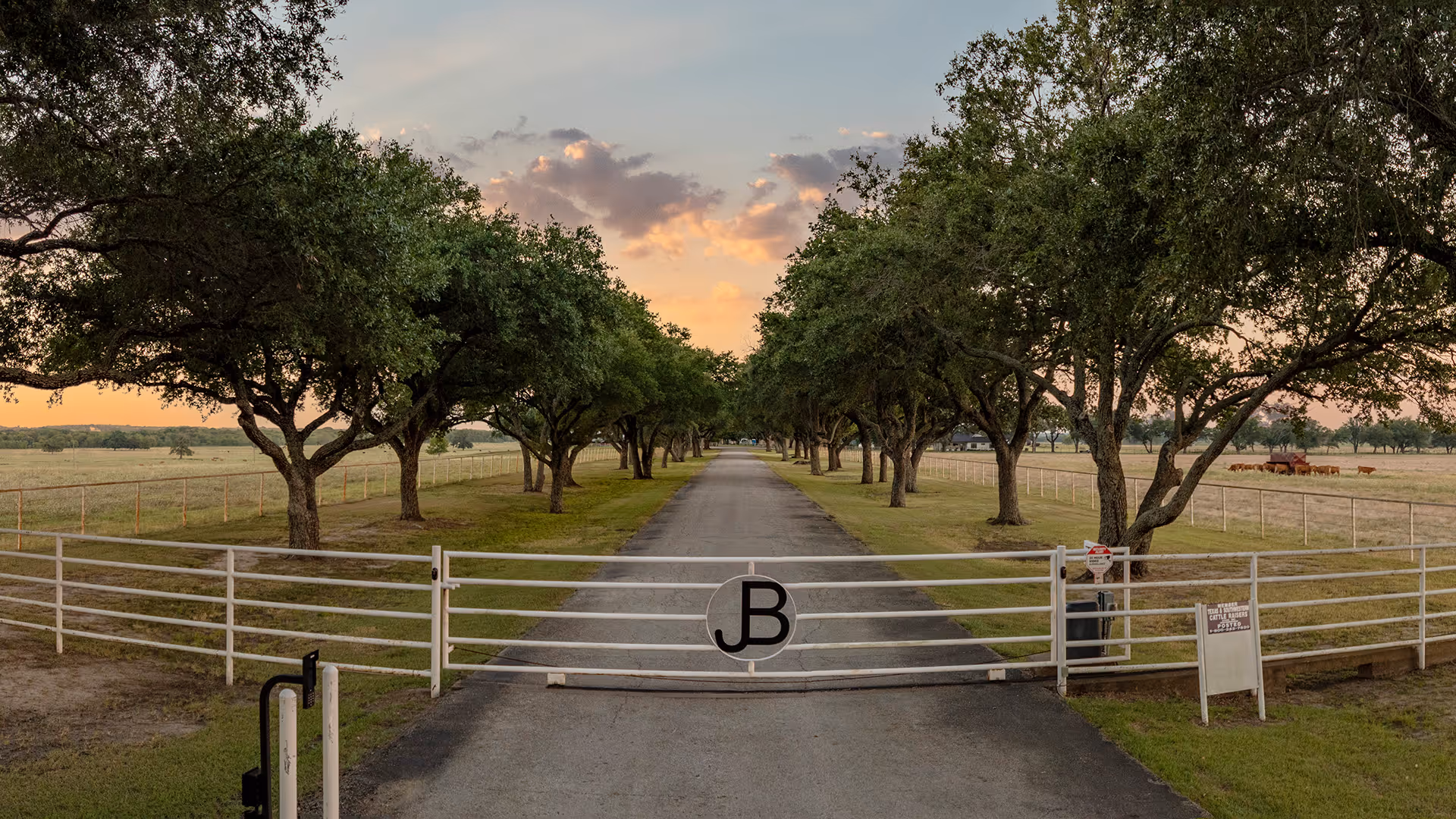 Front gate of cattle ranch in Kaufman, TX at sunset.