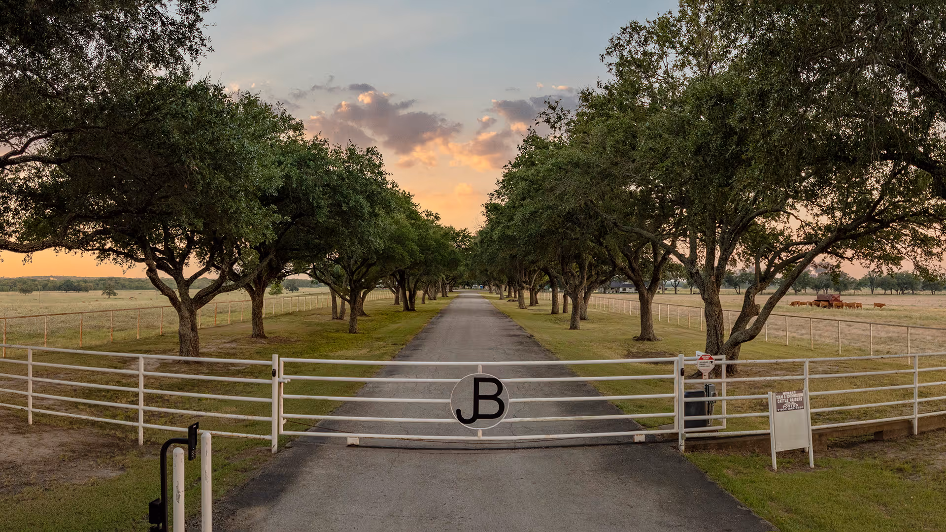 Long paved driveway lined with trees on both sides, blocked by a white metal gate with a circular emblem showing letters JB.