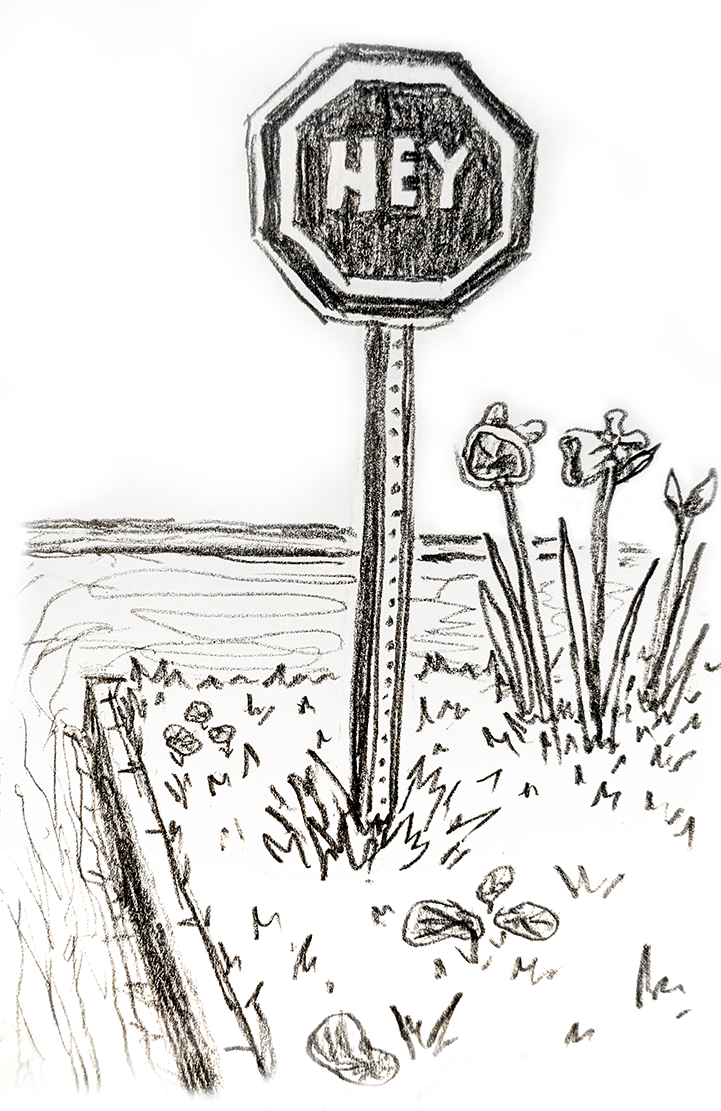 Stop sign that says Hey instead of Stop