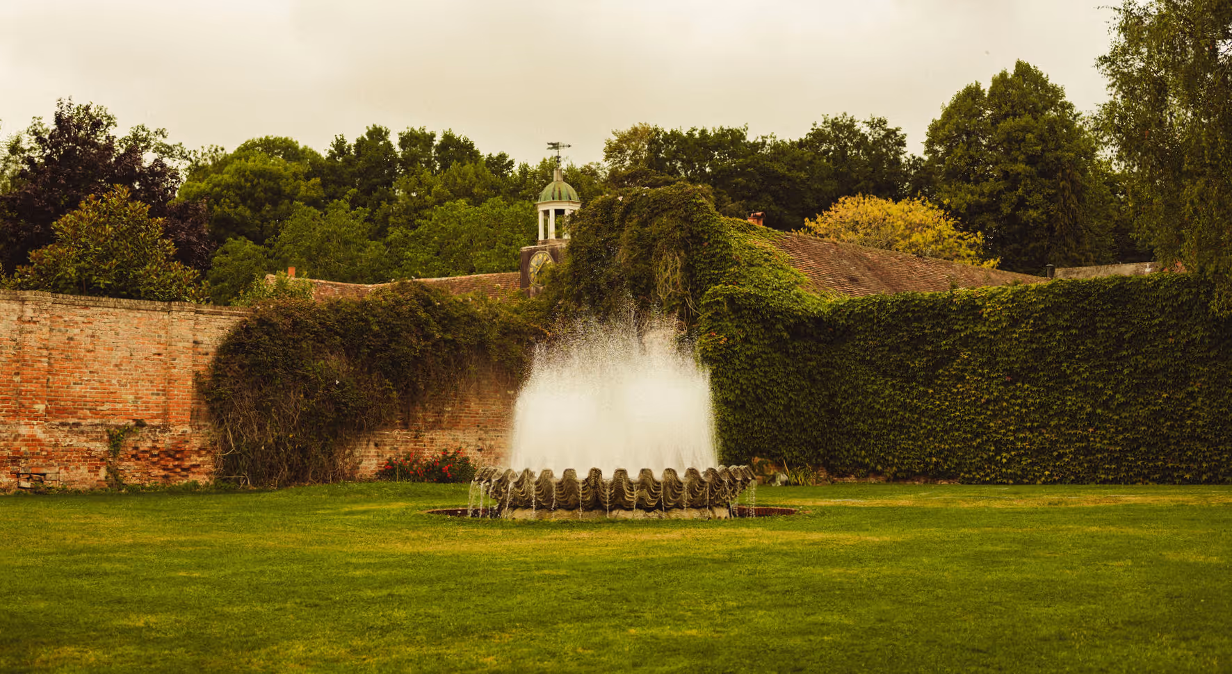 Water fountain spraying in the centre of a green garden with ivy-covered brick walls and trees in the background.