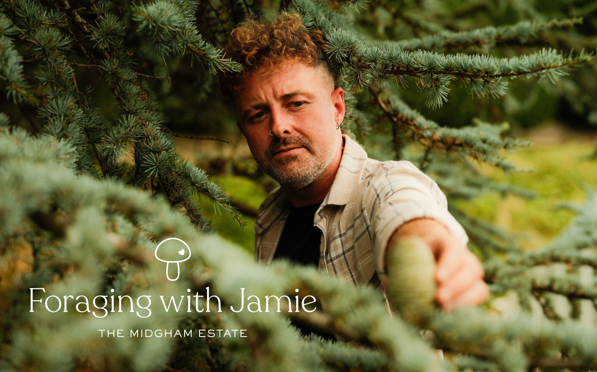 Man with curly hair in a checked shirt foraging among pine branches, holding a pine cone.