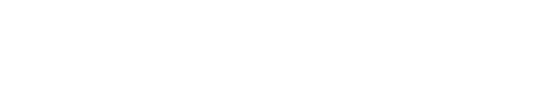 Supersonix logo