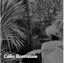 Sonix investor Celio profile photo