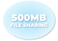 500MB file sharing label